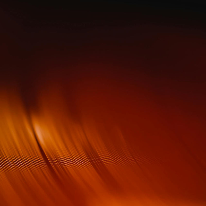 NGÀNH NGHỀ TÔI QUAN TÂM CÓ TRIỂN VỌNG GÌ?